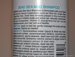Dead Sea Mud Shampoo (2)