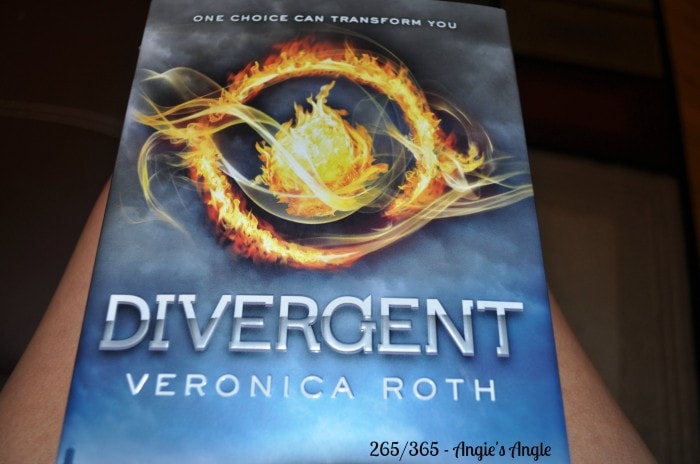 Divergent by Veronica Roth – Book Review #blogboost
