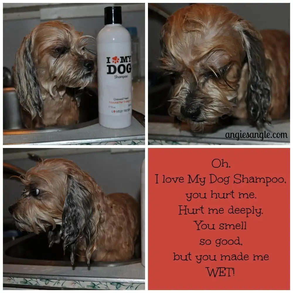 I love my Dog Shampoo - Shameful