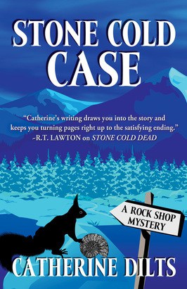 Stone Cold Case Book Review