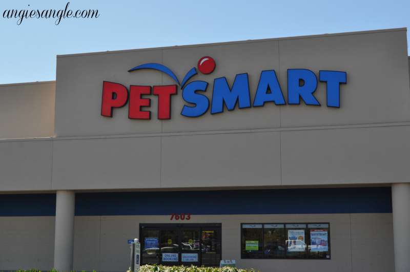Switching Your Dog To A New Food - Heading to Petsmart
