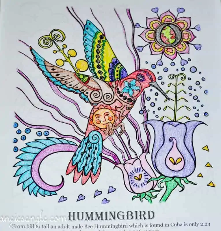 Amazing Birds - Adult Coloring Book - Hummingbird - Fully Colored (2)