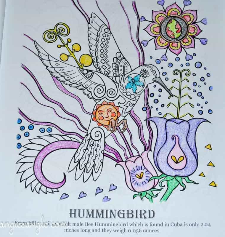 Amazing Birds - Adult Coloring Book - Hummingbird - Half Colored (3)