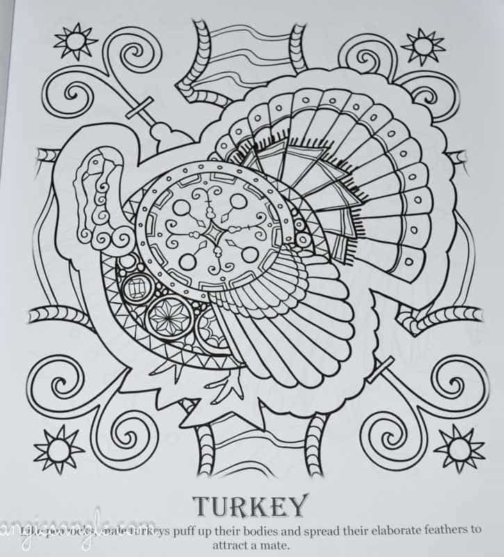 Amazing Birds - Adult Coloring Book - Turkey