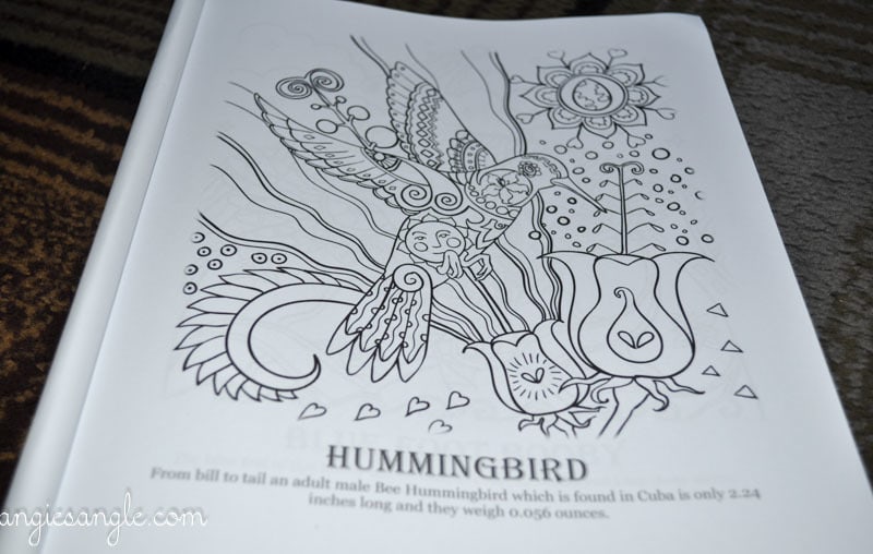 Amazing Birds - Adult Coloring Book - Hummingbird