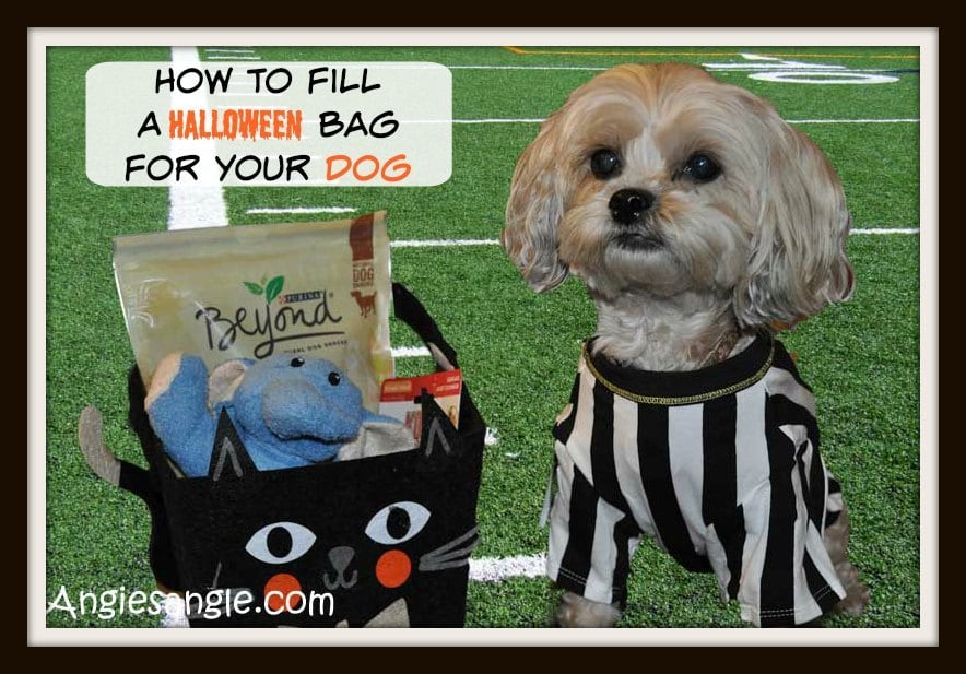 How To Fill A Halloween Bag For Your Dog #BeyondSnacks