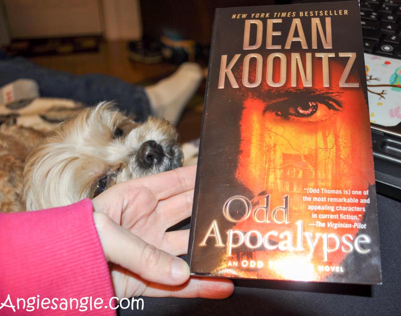 Catch the Moment 366 Week 2 - Day 10 - Current Book, Dean Koontz