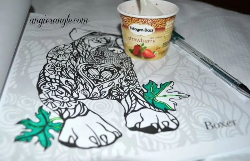 Dogs Art Coloring Book - Boxer and Ice Cream