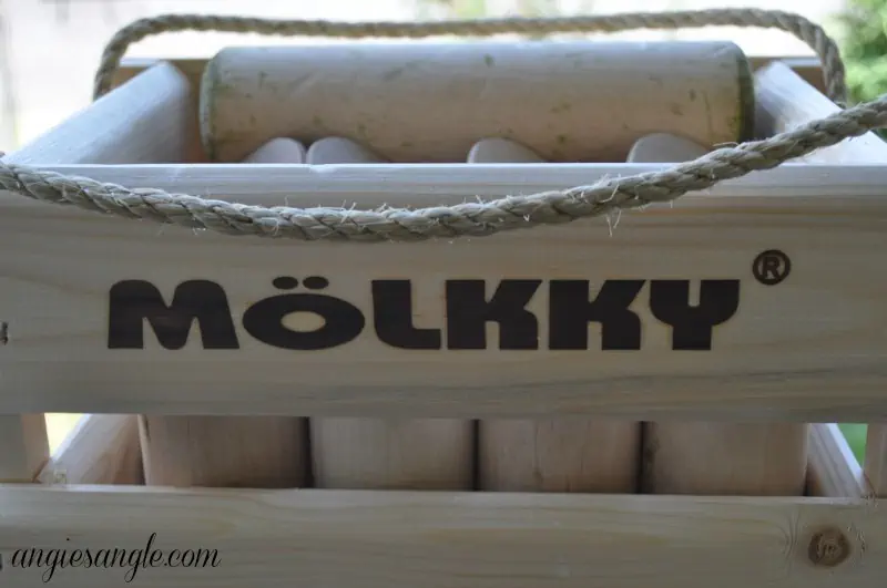 Spreading The Fun With Molkky - The Set