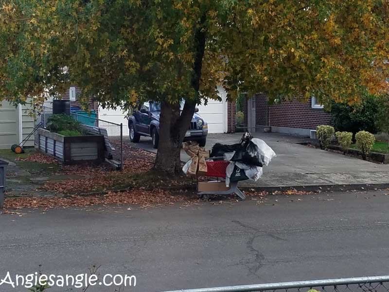 catch-the-moment-366-week-44-day-308-homeless-cart