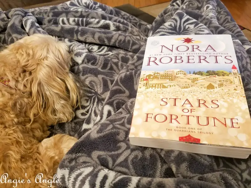 2017 Catch the Moment 365 Week 4 - Day 26 - New Book and Roxy