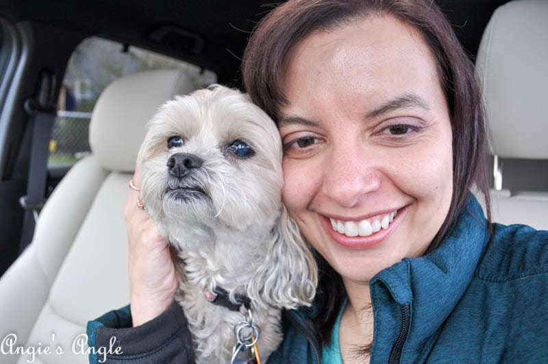 2017 Catch the Moment 365 Week 8 - Day 52 - Roxy and I in the Mazda CX9