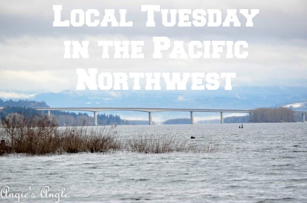 Local Tuesday in the Pacific Northwest