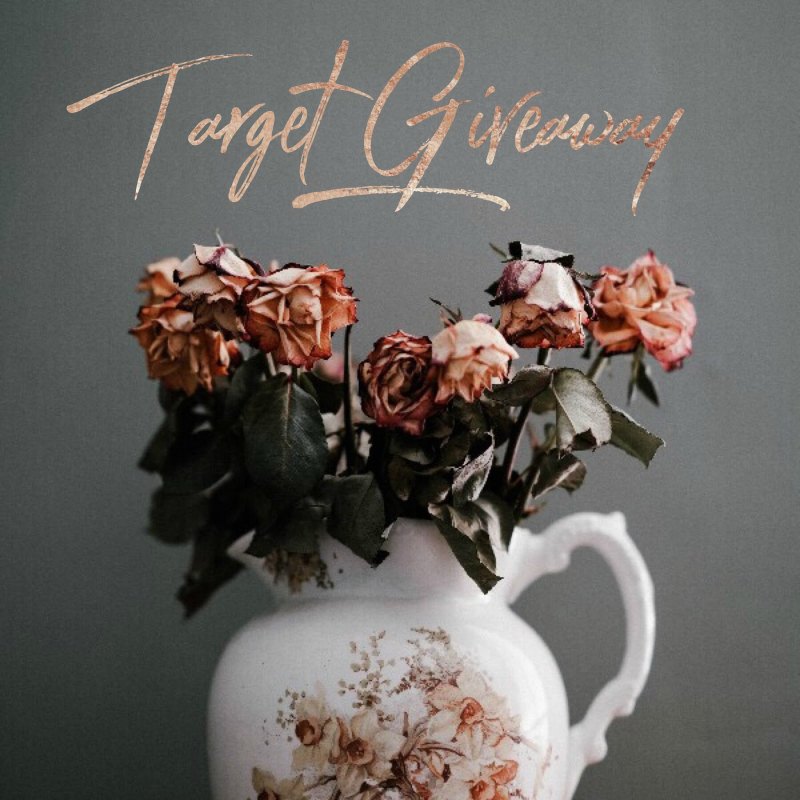 May Target Insta Giveaway ends June 29, 2018