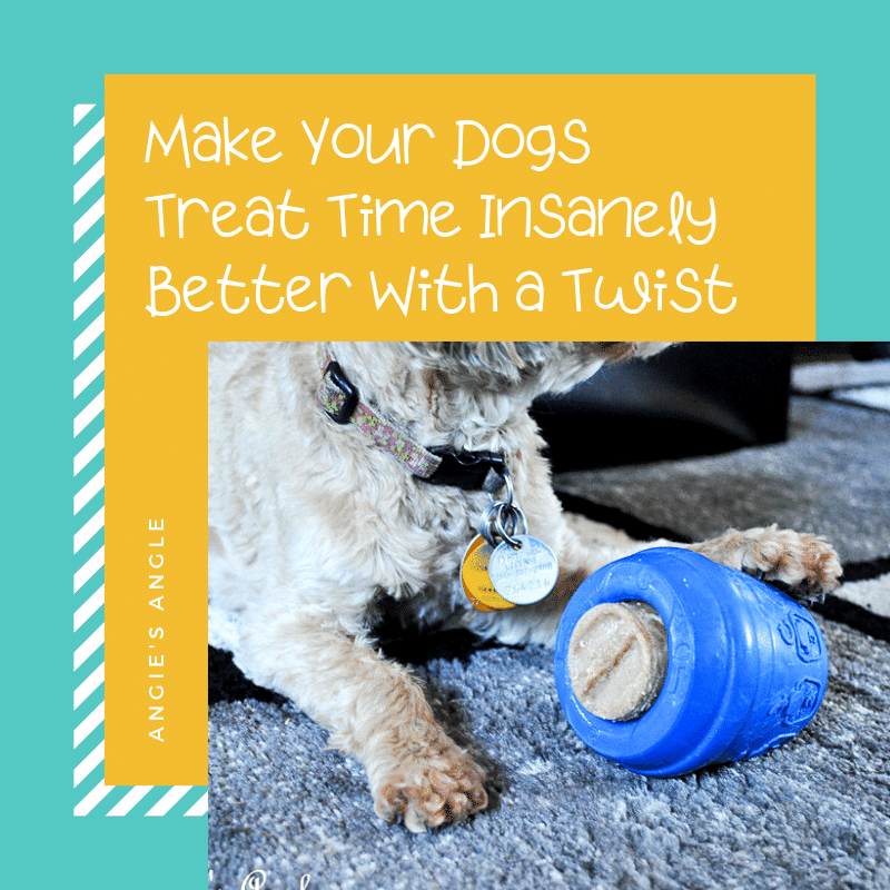 Make Your Dogs Treat Time Insanely Better With a Twist