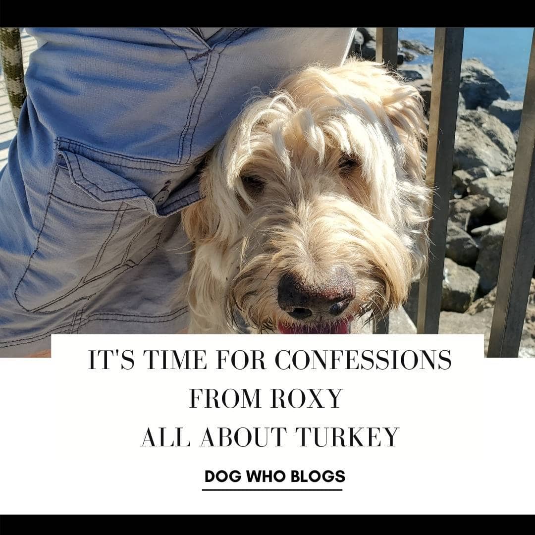 It’s Time for Confessions from Roxy All About Turkey
