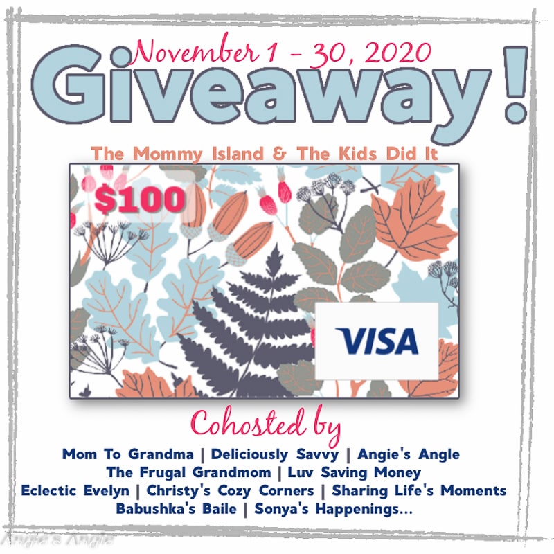 November $100 Visa Giveaway