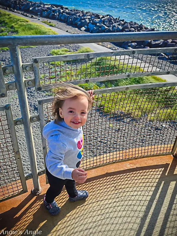 Lily on Westport Watch Tower