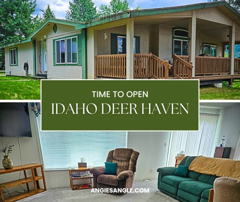 Open Idaho Deer Haven - Social