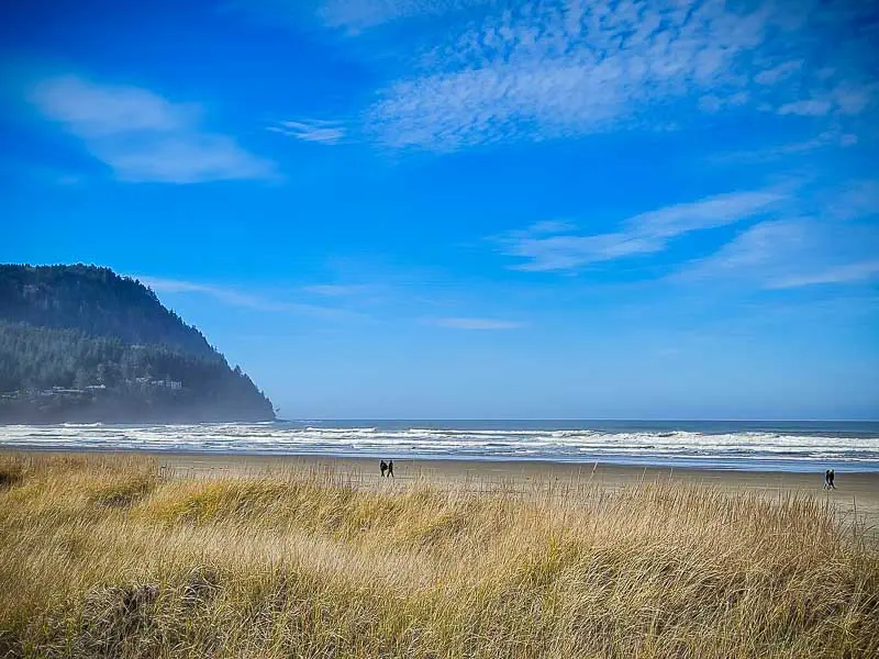 Seaside Beaching (3)