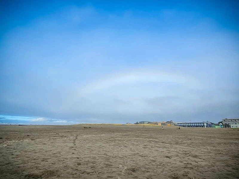 Seaside Wandering (6)