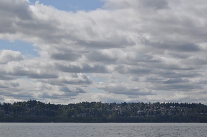 Puffy Clouds