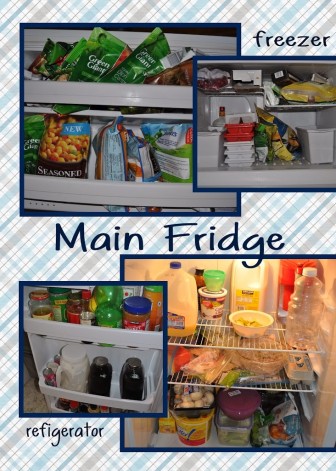 All About Me Friday – What’s in my Fridge?