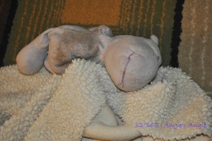 Day 32 - Roxy's Hippo & Blankie - Angie's Angle