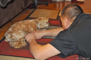 Day 49 - Daddy begging for Roxy's bone - Angie's Angle