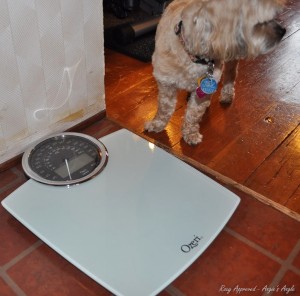 Ozeri Digital Bath Scale - Roxy approved - Angie's Angle