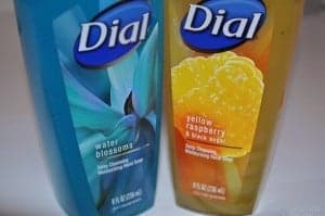 Purex Insider - Dial Deep Cleansing Hand Soap (1)