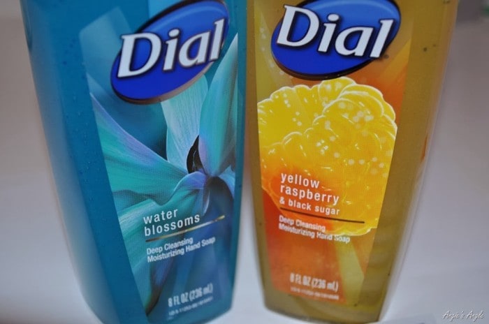 Wash your hands with the new Dial Hand Soap Review +Giveaway ends 3/15/14