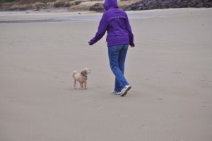 Sunday Beach Trip - Wind and Rain (26)