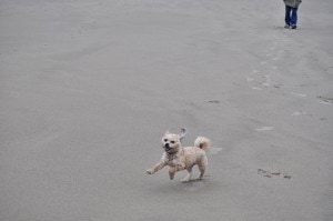 Sunday Beach Trip - Wind and Rain (35)