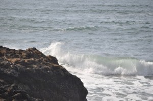 Tuesday Walk & Beach at Devil's Churn (26)