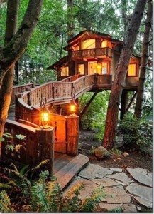 treehouse in Seattle from pinterest