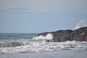 Tuesday Walk & Beach at Devil's Churn (79)