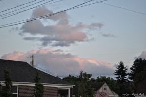Day 117 - Pink Clouds