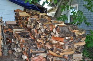 Day 146 - Start of our Woodstack