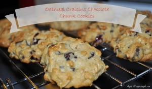 Oatmeal Craisins Chocolate Chunk Cookies with Baker's Mat Review