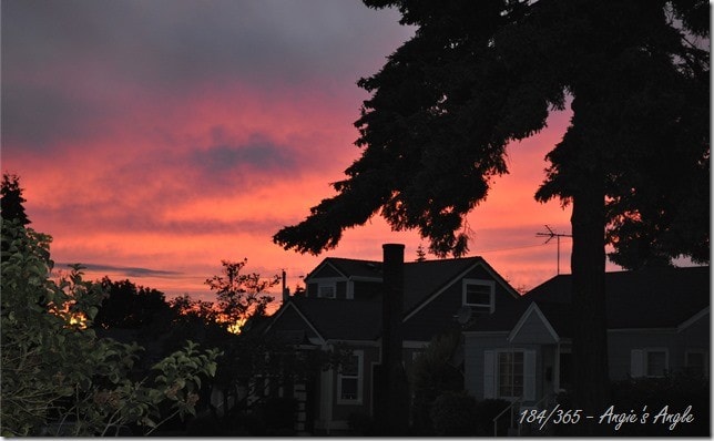 Catch the Moment 365 - Day 184 - Beautiful Sunset Again