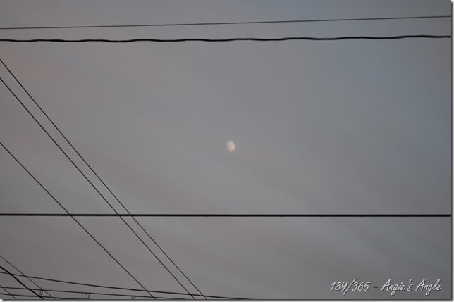 Catch the Moment 365 - Day 189 - Spooky Moon