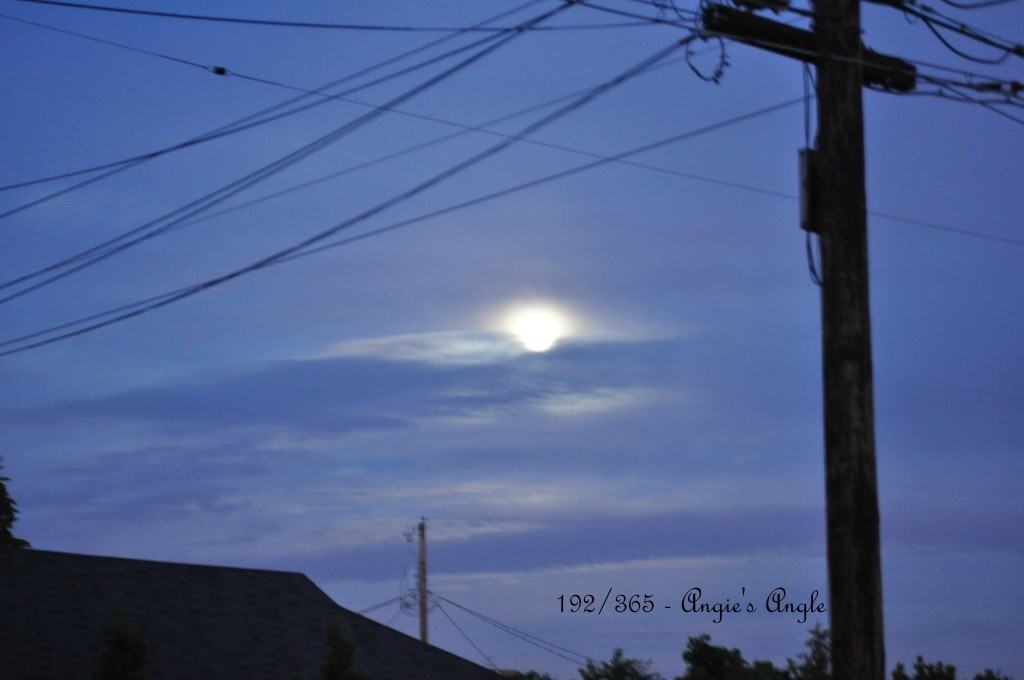 Catch the Moment 365 - Day 192 - Moon