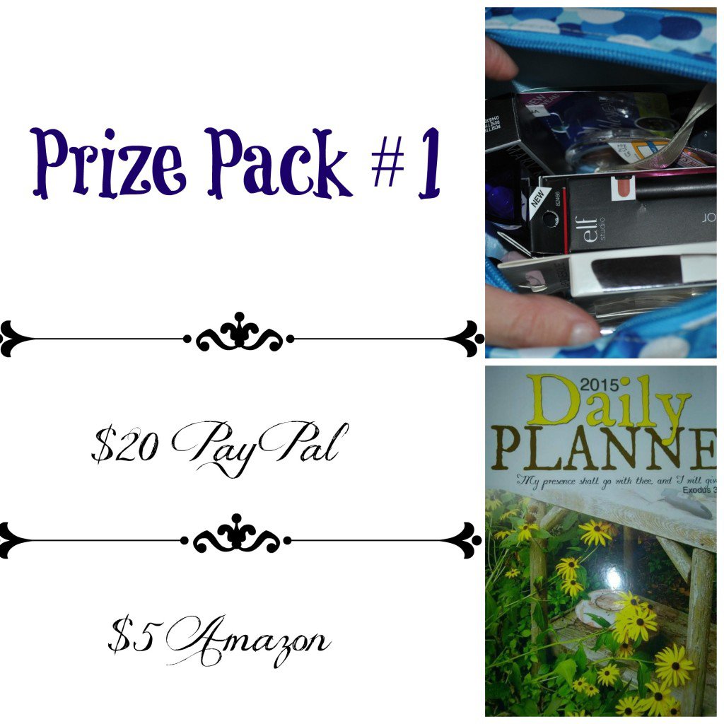 Celebration Giveaway - Prize Pack #1