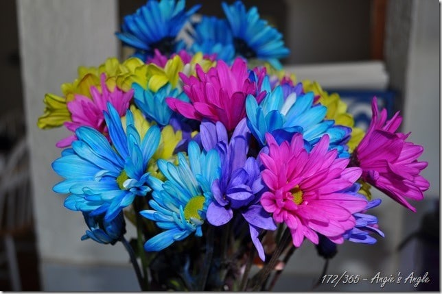 Catch the Moment 365 - Day 172 - Anniversary Flowers