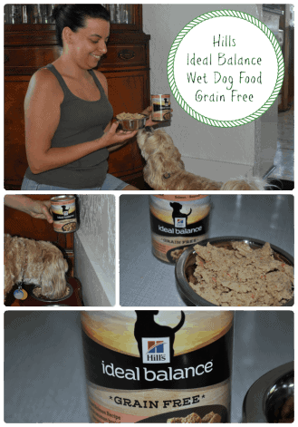 Ideal Balance Wet Dog Food - Grain Free