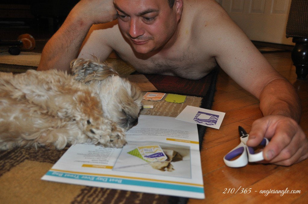 Catch the Moment 365 - Day 210 - Roxy helping with our crafts