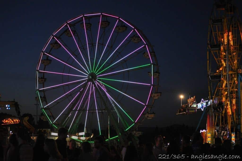 Catch the Moment 365 - Day 221 - Ferris Wheel