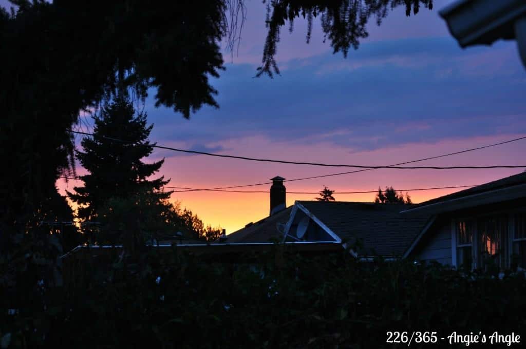 Catch the Moment 365 - Day 226 - Amazing Sunset