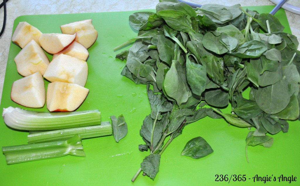 Catch the Moment 365 - Day 236 - Healthy Tuesday - Mint Julep Juicing Juice (1)